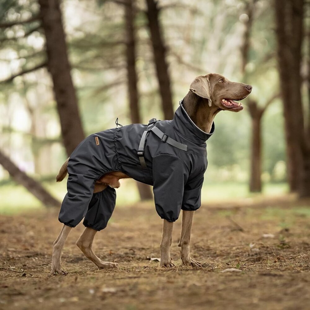 Dog Raincoat with Harness for Medium and Large Dogs